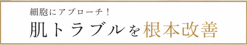 細胞にアプローチ：肌トラブルへのケア